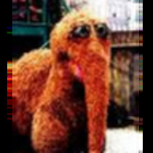 Meet your Posher, Debbie